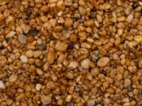 Dorset Gold