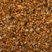 Dorset Gold
